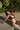 Hollywood Dreams One Piece