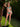 The Emerald Green Bikini Bottom
