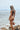 Perle Bikini Bottom Apricot Cream